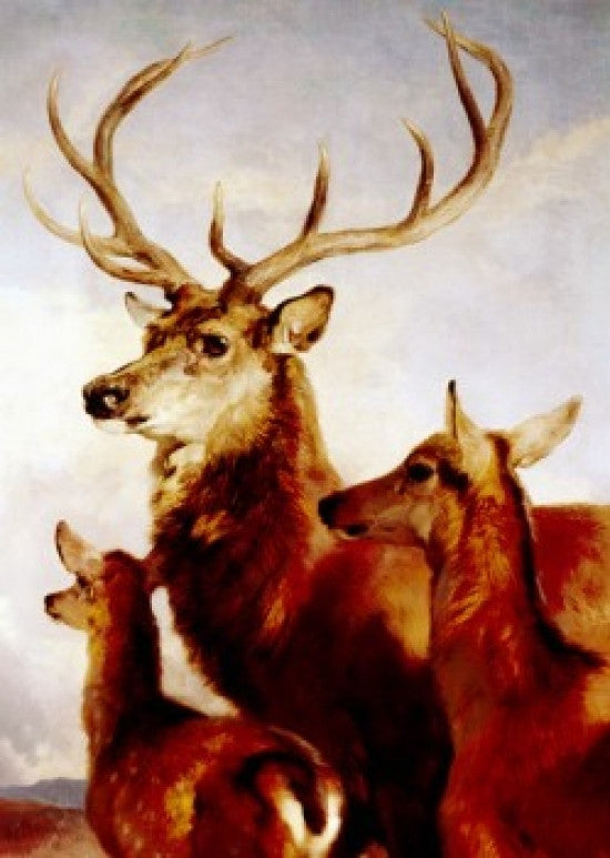 Deer Portrait Painted Image Fine Art Print - Multiple Sizes Available