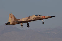 F-5N Aggressor Aircraft Fine Art Print by Timm Ziegenthaler