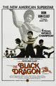 The Black Dragon Movie Poster Print (27x40)