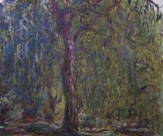 Weeping Willow Fine Art Print by Claude Monet - c. 1919