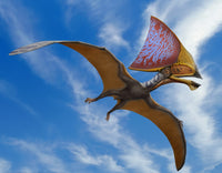 Tupandactylus imperator Pterosaur Poster Print from Brazil