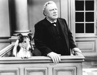 Challenge To Lassie 1949 Photo Print by Everett Collection