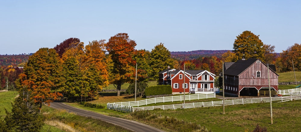 Red Barn and Country Road in Autumn Colors Fine Art Print by David Chapman