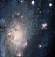 A Supernova in NGC 2403 Fine Art Print by Stocktrek Images