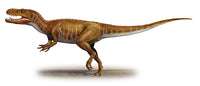 Afrovenator abakensis Poster Print - Mid-Jurassic Dinosaur Art