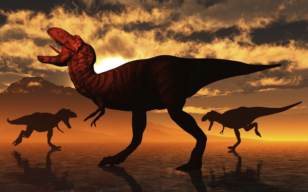 Tyrannosaurus Rex Hunting Fine Art Print by Mark Stevenson