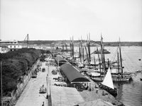 Cuba: Havana Harbor Fine Art Print (C1904) by Granger Collection