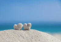 Heart-Shaped Coral Rocks Beach Fine Art Print by Brandon Tabiolo