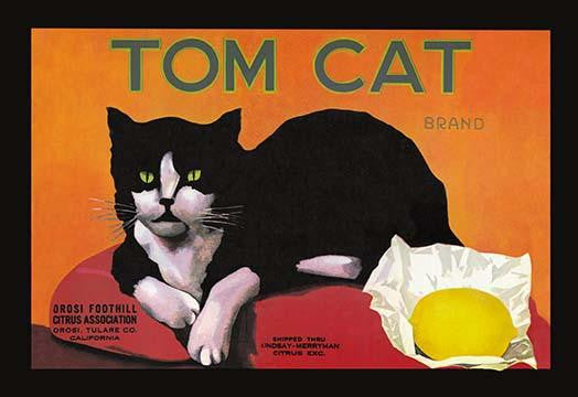 1920s Lemon Citrus Crate Label Print Featuring Tom Cat