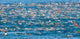 Ford Ironman World Championship Poster Print by Panoramic Images (25 x 12)
