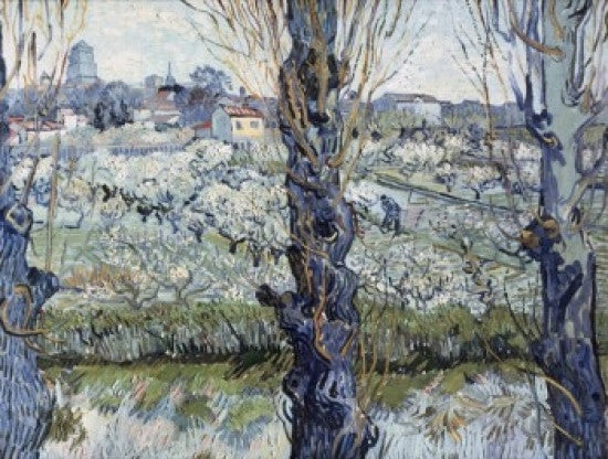 View of Arles Fine Art Print by Vincent van Gogh