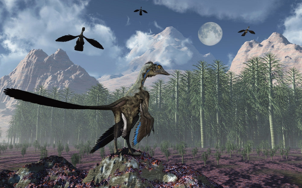 Archaeopteryx Bird-like Dinosaur Forest Fine Art Print