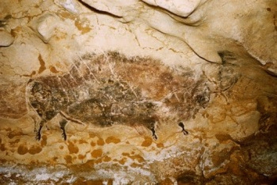 Bison with Seven Arrows Rock Painting Fine Art Print - Lascaux Caves