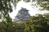 Osaka Castle Fine Art Print by Shin Terada - Multiple Sizes