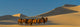 Camel Caravan in the Gobi Desert Fine Art Print