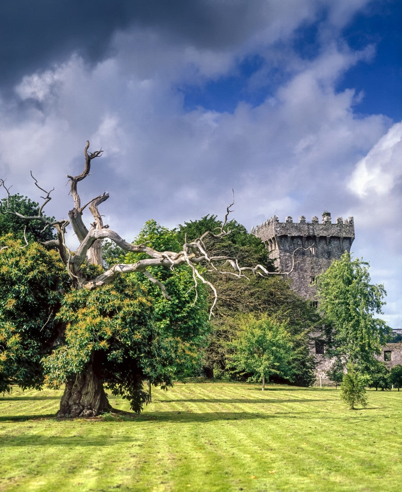 Blarney Castle Fine Art Print - Co Cork, Ireland by The Irish Image Collection