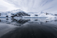 Icy Reflections: Antarctica Fine Art Print by Deb Garside