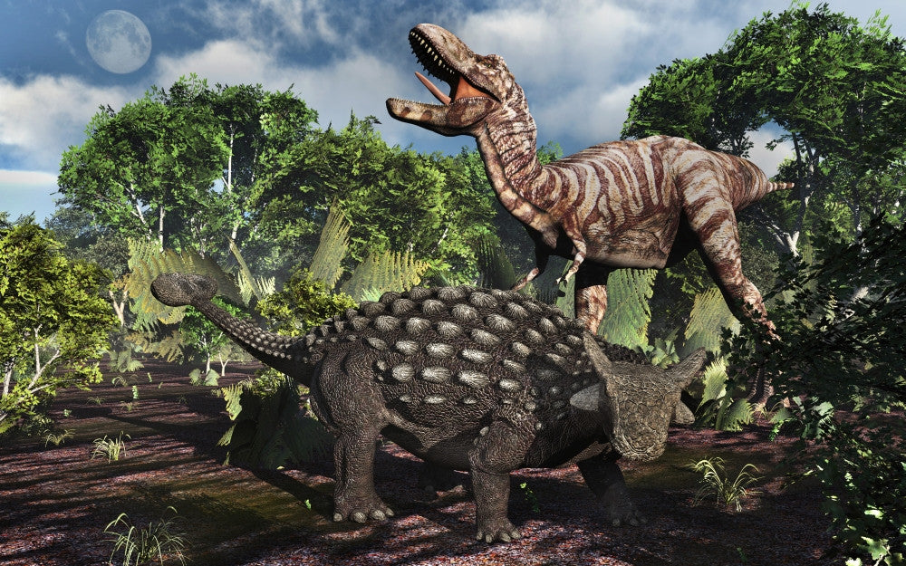 Ankylosaurus Defending Against Tyrannosaurus Rex Fine Art Print by Mark Stevenson