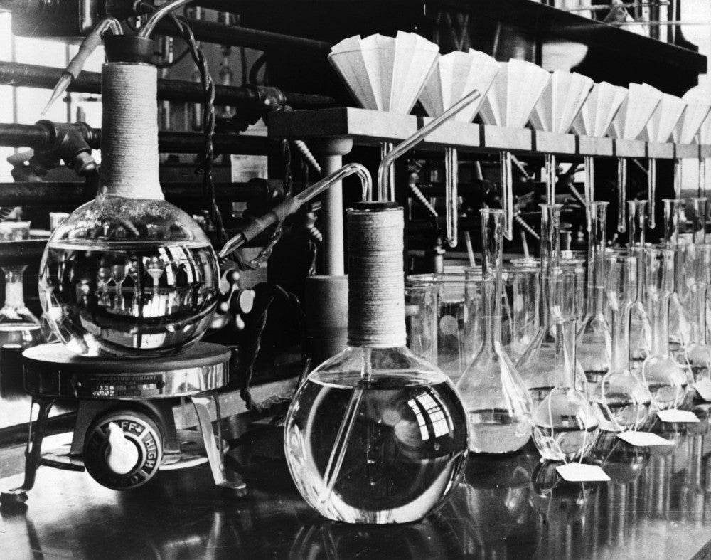 Potato Laboratory Photograph Print by Carl Mydans - 1935