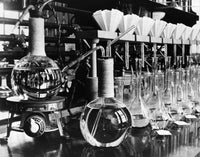 Potato Laboratory Photograph Print by Carl Mydans - 1935