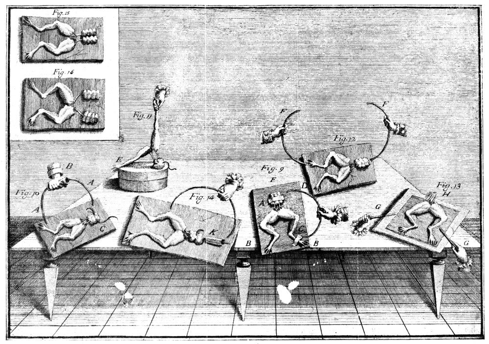 Galvani: Galvanism, 1791 Fine Art Print by Granger Collection