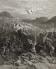 The Battle of Nicaea Fine Art Print - First Crusade 1096