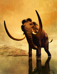 Woolly Mammoth Fine Art Print in Frozen Sunset