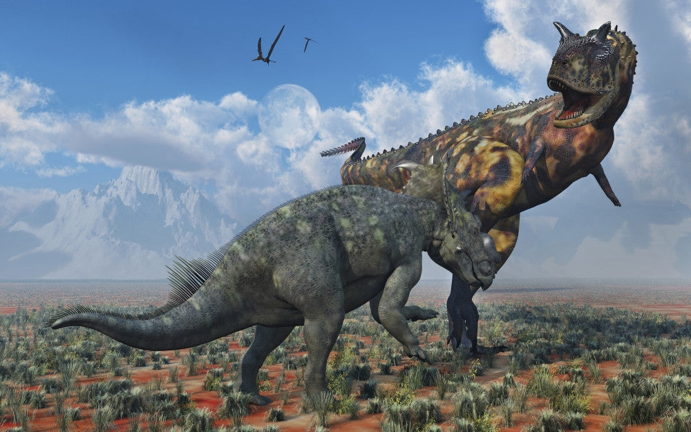 Pachyrhinosaurus vs. Carnotaurus Fine Art Print