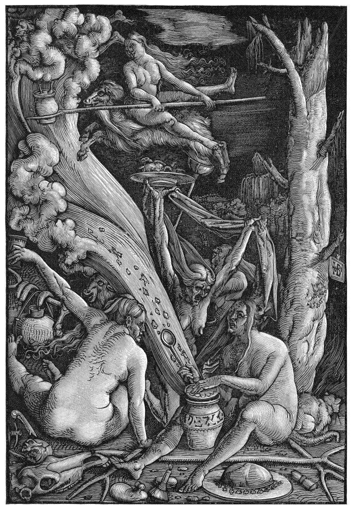 Witches' Sabbath Fine Art Print - Woodcut by Hans Baldung Grien