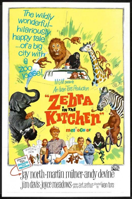 Zebra in the Kitchen Movie Poster - 11 x 17 Print