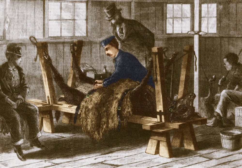 First Smallpox Vaccine, 1872 Fine Art Print by Science Source