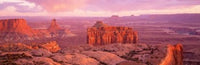 Canyonlands National Park Utah Poster Print by Panoramic Images - 37x12