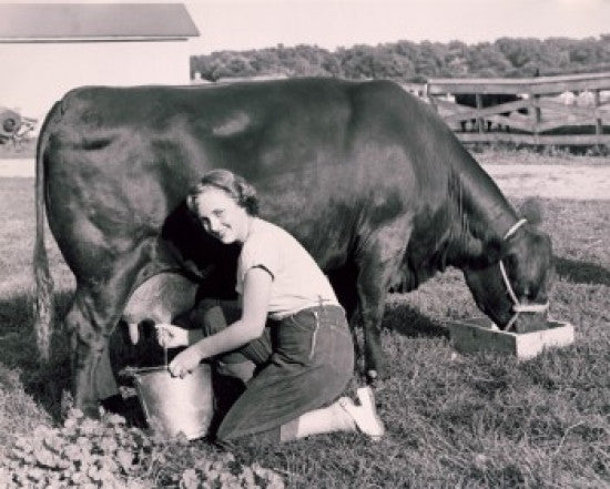 Portrait of a Young Woman Milking a Cow Fine Art Print