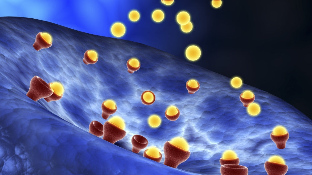 Conceptual Image of Synapse Receptors Fine Art Print