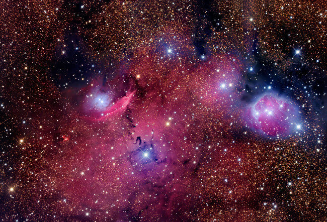 NGC 6559 Colorful Nebula Fine Art Print by Robert Gendler