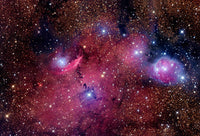 NGC 6559 Colorful Nebula Fine Art Print by Robert Gendler