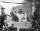 Sergeant Stubby Parade Float Photograph - 1921 Fine Art Print
