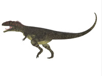 Mapusaurus Dinosaur Fine Art Print – Cretaceous Theropod