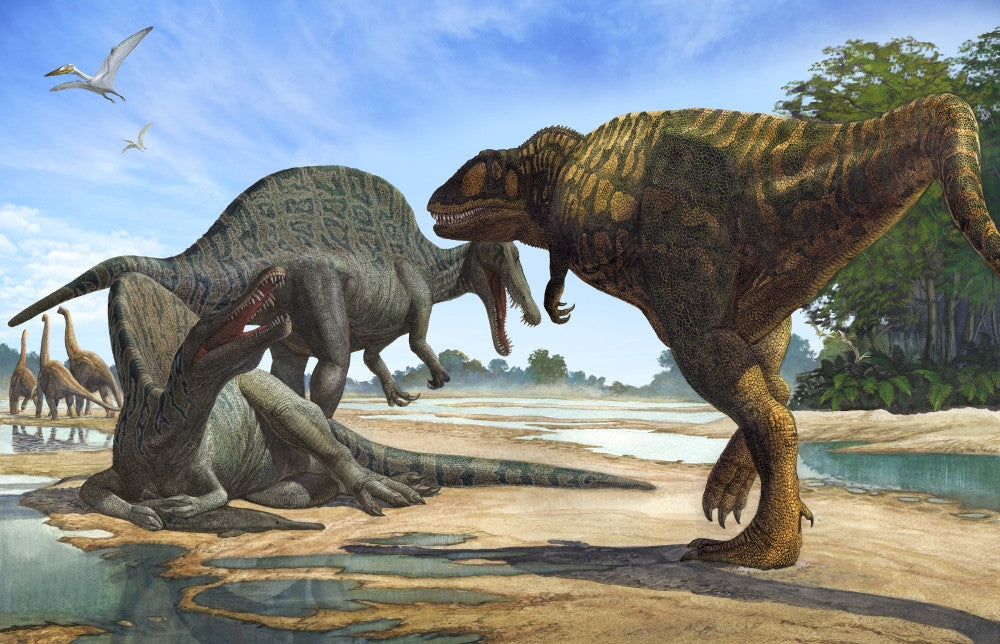 Carcharodontosaurus vs. Spinosaurus Dinosaurs Fine Art Print