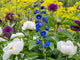 Variety of Spring Blooming Flowers in a Garden Art Print by Julie Eggers