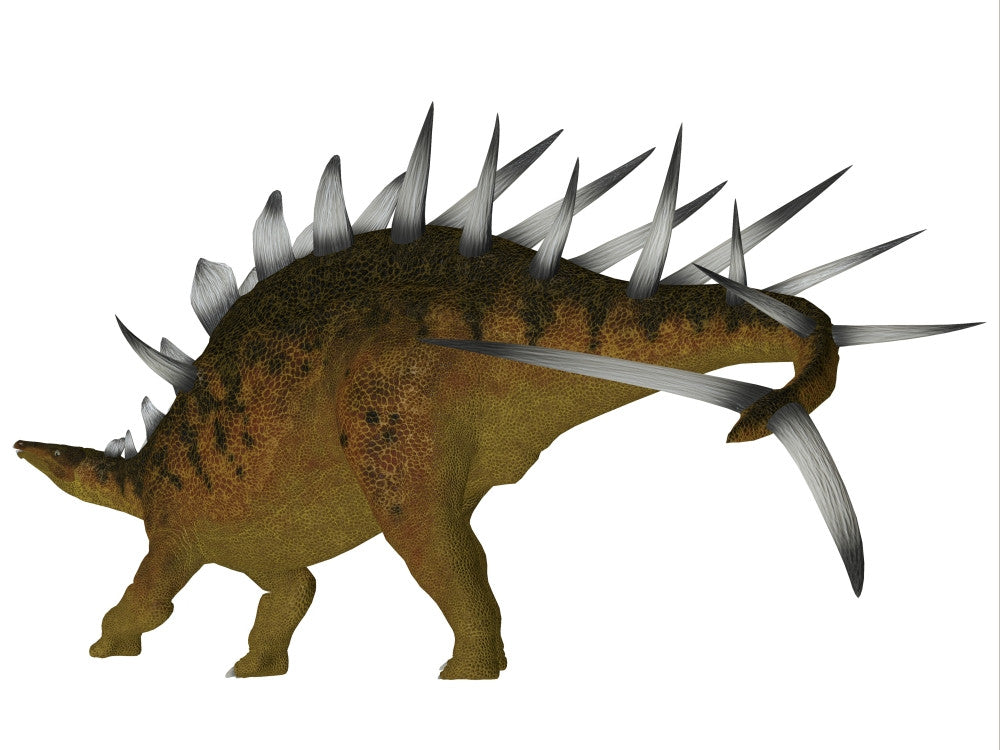 Kentrosaurus Dinosaur Fine Art Print - Late Jurassic Period