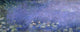 Water Lilies Fine Art Print by Claude Monet