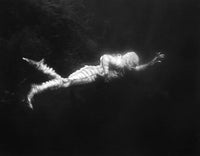 The Creature From The Black Lagoon: Sea Monster Poster Print