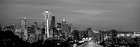 Seattle Space Needle Nightscape Fine Art Print