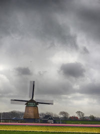 Tulip Fields with Traditional Dutch Windmill Fine Art Print by Terry Eggers