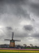 Tulip Fields with Traditional Dutch Windmill Fine Art Print by Terry Eggers