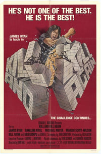 Kill and Kill Again Movie Poster Print (27x40)