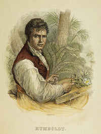 Alexander Von Humboldt Fine Art Print - English Engraving, 1843