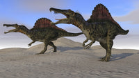 Two Spinosaurus Dinosaurs Hunting on Desert Terrain Fine Art Print