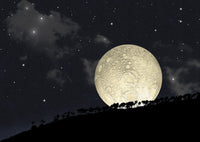 Full Moon Rising Behind Hilltop Trees Fine Art Print